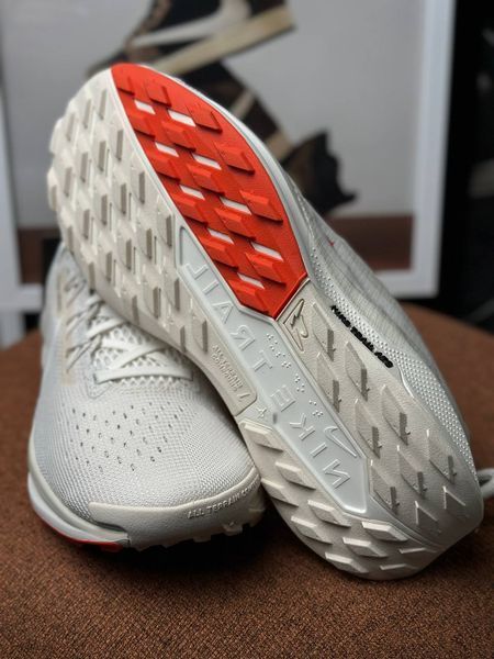 Nike Reactx Pegasus Trail 5 Beige DV3864-003 фото