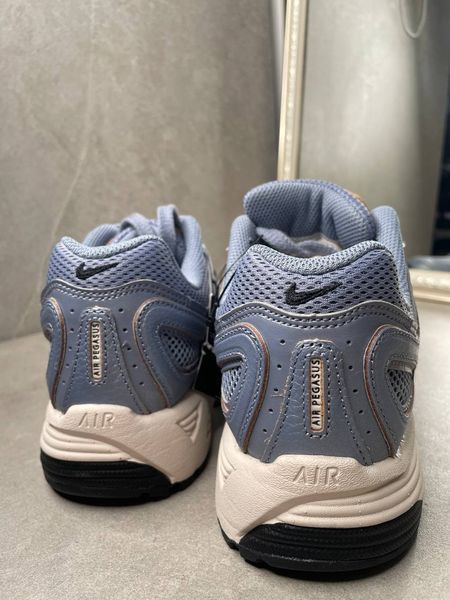 Nike Air Pegasus 2K5 Ashen Slate FQ3571-400 фото