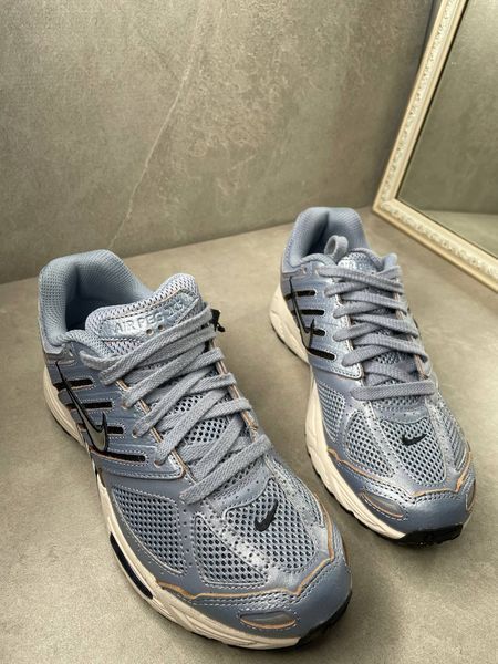 Nike Air Pegasus 2K5 Ashen Slate FQ3571-400 фото