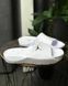 Тапки Air Jordan Franchise Shower Slide HQ2163-100 фото 1