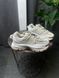 Nike Zoom Vomero Beige HQ2181-100 фото 1