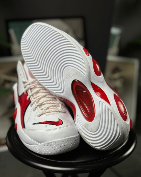 Nike Air Zoom Flight DX1165-100 фото