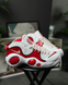 Nike Air Zoom Flight DX1165-100 фото 1