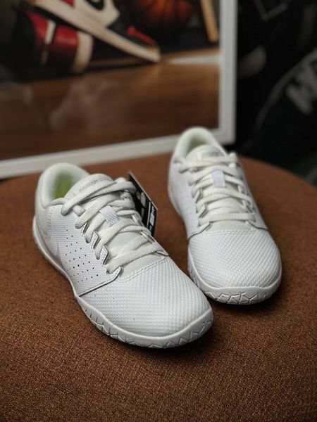 Nike Sideline IV PS 'White Platinum' 943789-100 фото