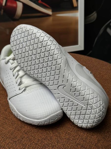 Nike Sideline IV PS 'White Platinum' 943789-100 фото