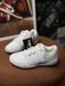 Nike Sideline IV PS 'White Platinum' 943789-100 фото 1