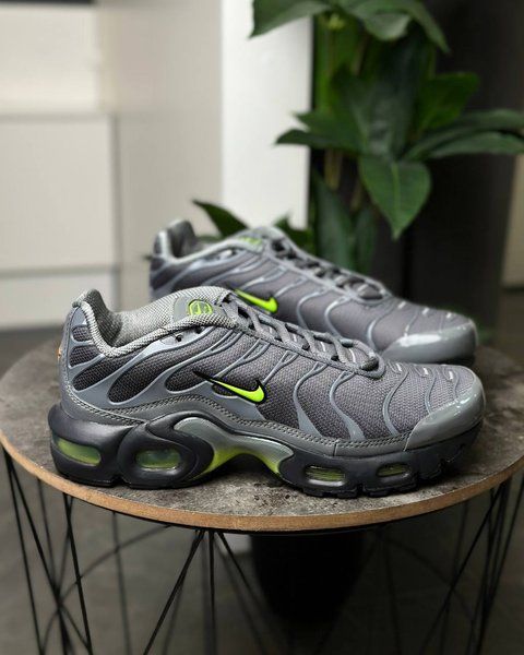 Nike Air Max Plus IF6169-084 фото