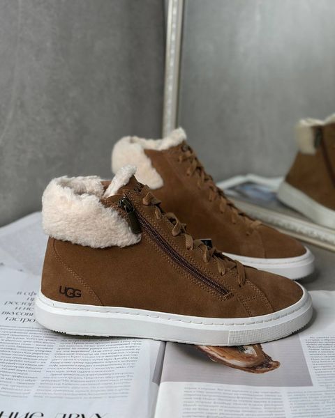 Ugg Ботильйони Alameda Mid Zip каштанові 1130783 фото