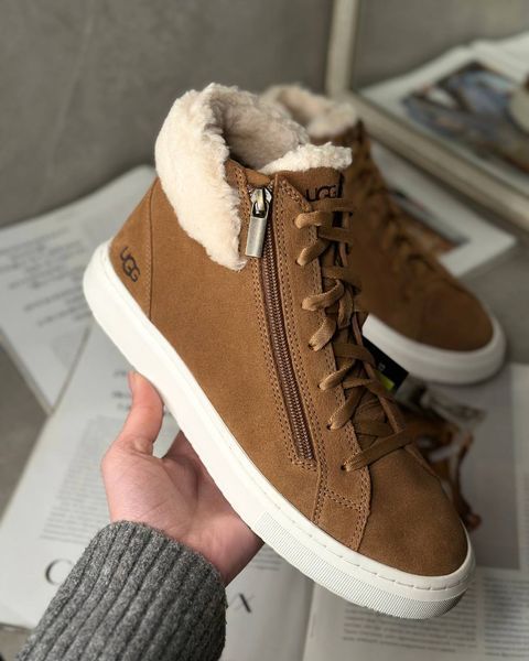 Ugg Ботильйони Alameda Mid Zip каштанові 1130783 фото