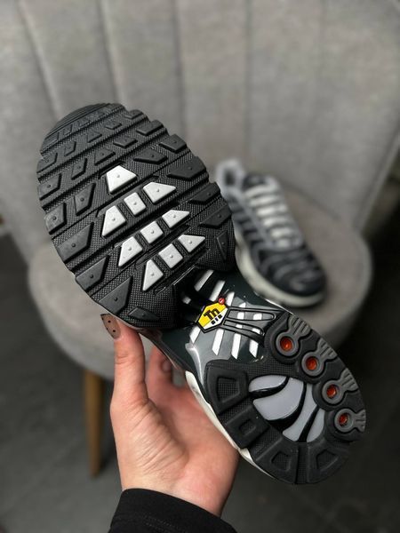 Nike Air Max Plus Se Grey DZ2655-001 фото