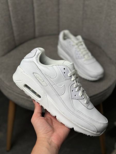 Nike Air Max 90 HF6358-102 фото