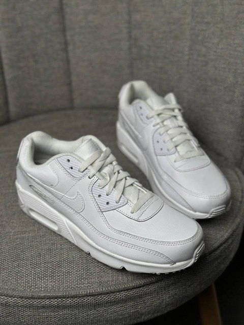 Nike Air Max 90 HF6358-102 фото