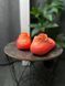 Nike ReactX Rejuven8 HV5062-803 фото 3