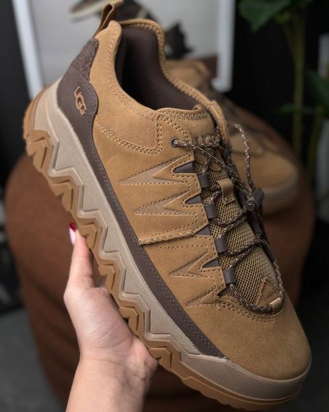 Ugg Men's CapTrail Low Chestnut 1158252 фото