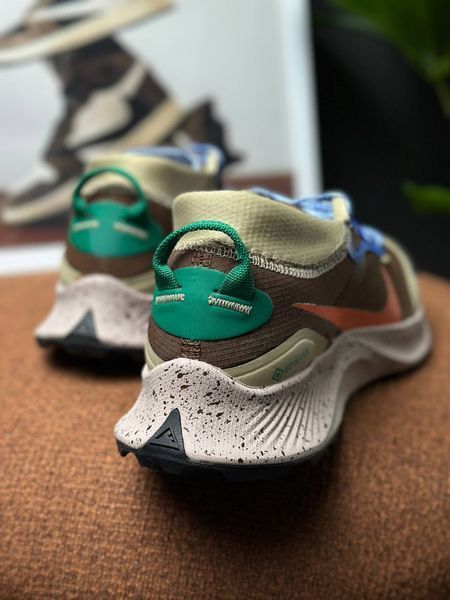 Nike pegasus trail 3 gore-tex DR0137-200 фото