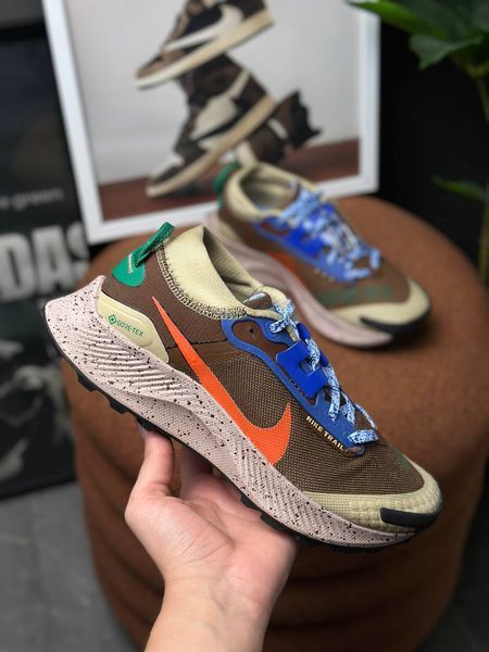 Nike pegasus trail 3 gore-tex DR0137-200 фото