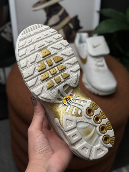 Nike Air Max Plus Tiempo Phantom HV2541-001 фото