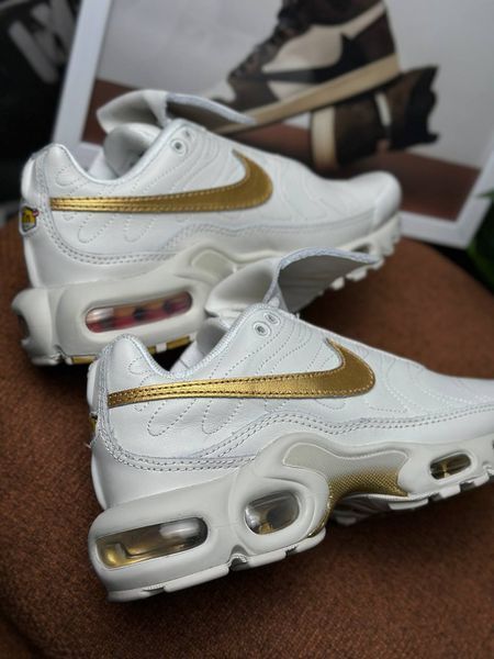 Nike Air Max Plus Tiempo Phantom HV2541-001 фото