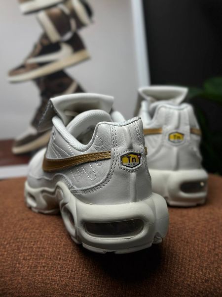 Nike Air Max Plus Tiempo Phantom HV2541-001 фото