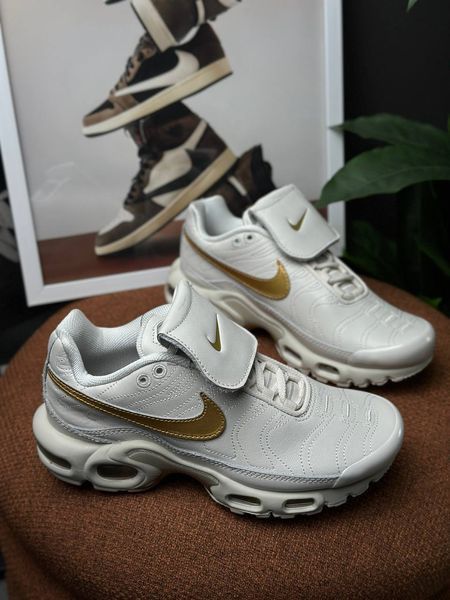 Nike Air Max Plus Tiempo Phantom HV2541-001 фото