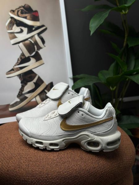 Nike Air Max Plus Tiempo Phantom HV2541-001 фото